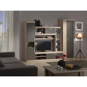 Комплект мебели для гостиной Макси скала (комплектация 1)