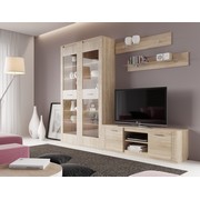 Комплект мебели для гостиной Элана дуб сонома (вариант 4)